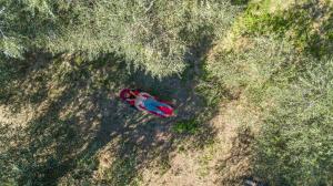 Appartamenti Arco Antico