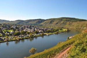 Weingut Markus Busch