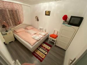 Apartments Borove Noci