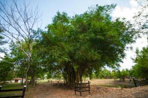Casa Finca La Catalina