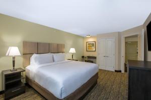 One-Bedroom King Suite room in Candlewood Suites - Omaha Millard Area an IHG Hotel