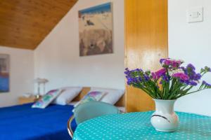 Apartments Peppino - Old Town 
