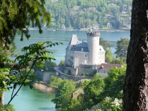 Appartements Au bord du lac d’Annecy, logement type Loft, dans residence avec plage et ponton privee : photos des chambres