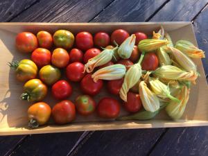 Agriturismo Turudhis img11