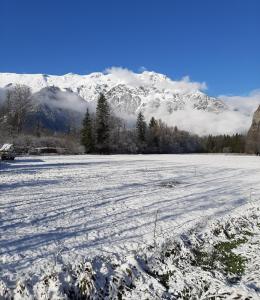Appartements Le Manoir, appartement Onyx : photos des chambres