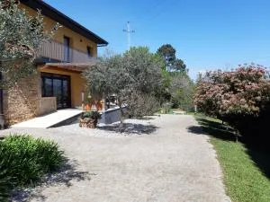 Quinta do Senhor - Ucha