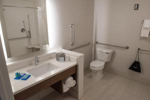 Holiday Inn Express & Suites - Orland Park Mokena by IHG