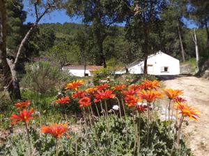 Quinta da Barroquinha