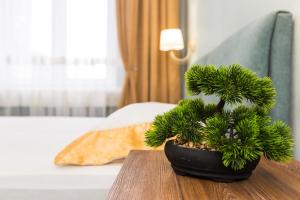 Апартаменти біля оперного центр краща локація 2 кімнати