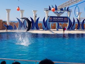 Granada City Alanya Luxury Appartment 800м от пляжа Клеопатра