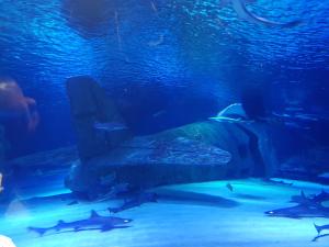 Granada City Alanya Luxury Appartment 800м от пляжа Клеопатра