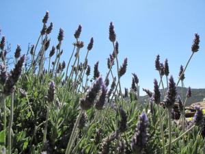 Original Stone farmhouse, for an altenative style holiday Kea Greece