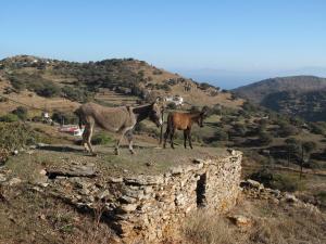 Original Stone farmhouse, for an altenative style holiday Kea Greece