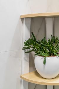 Modern Apartment near Monte Cassino St