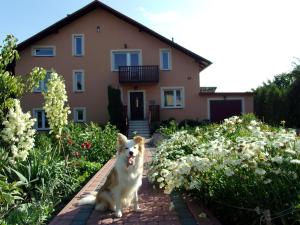 Agroturystyka u Basi