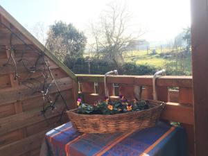 Ferienwohnung auf dem Kutzenberg