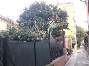 Appartements Les violettes : photos des chambres
