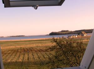 Reet Hausteile Sonnenkliff und Kamp