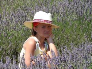 Maisons de vacances L'Oustaou du Luberon et SPA : photos des chambres