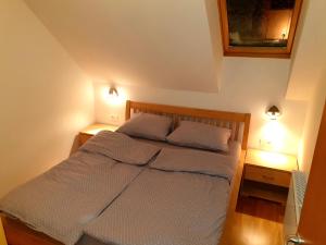 Apartma DA-LI SPORTS -ROGLA