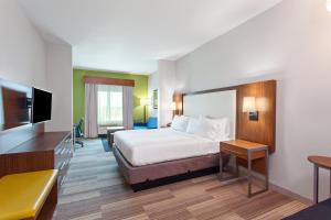 King Suite - Non-Smoking room in Holiday Inn Express & Suites Houston SW - Medical Ctr Area an IHG Hotel