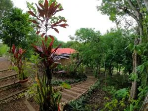 Santa Cruz Cabins - Cool Shade