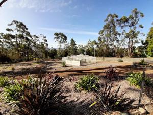 Spring Beach Garden Retreat