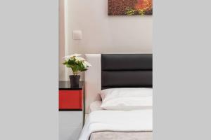 Luxury studio in downtown(2)