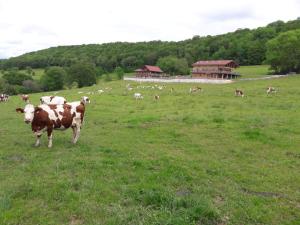 Maisons d'hotes Au Doubs Repos : photos des chambres