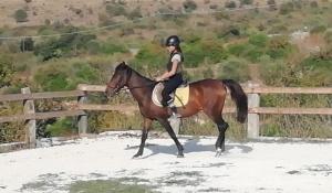 B&B Badde Cubas img83