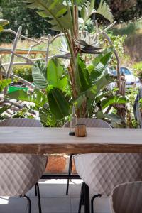 Hotels Hotel Scandola : photos des chambres