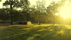 Lodges L'etape en foret : photos des chambres