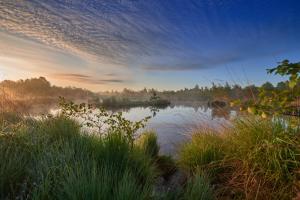 Natuurlogies Buurse Buiten
