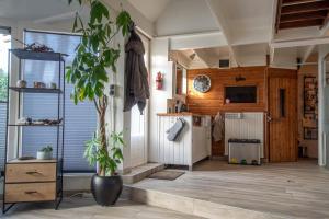 Hakuna Matata Peddelenzo