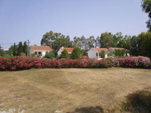 Nerissa bungalows Kefalloniá Greece