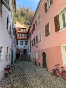 Charming 45m2 Apartment in Heart of Graz