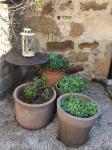 Maisons de vacances LES TERRASSES DE CARENNAC : photos des chambres