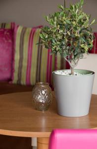 The Originals Boutique, Hôtel Les Strélitzias