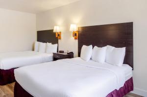 Queen Room with Two Queen Beds - Non-Smoking room in Americas Best Value Inn & Suites Ft Collins E at I-25