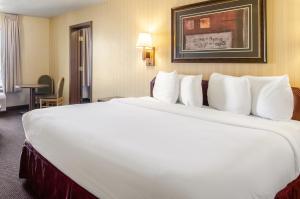 Executive Suite with Two King Beds room in Americas Best Value Inn & Suites Ft Collins E at I-25