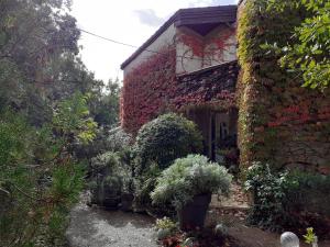 Maisons d'hotes La Bergerie : photos des chambres