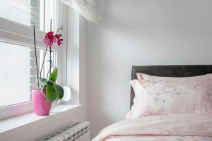 Apartman Cezar