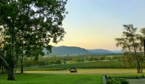 Winmark Wines - 4hvězdičkové hotely ve městě Broke