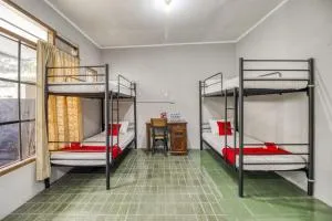 RedDoorz Hostel near Adisucipto Airport Yogyakarta - Berbahkrikilan