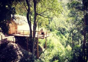 Ella Retreat Hotel Glamping Tent For Nature Lovers