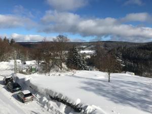 FeWo direkt am Loipeneinstieg, Lademöglichkeit E-Auto!