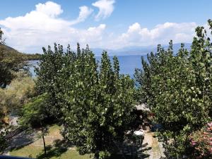 Blue Garden Achaia Greece