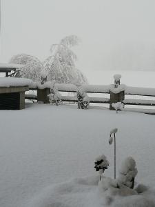 Pension Lärchenbrunn