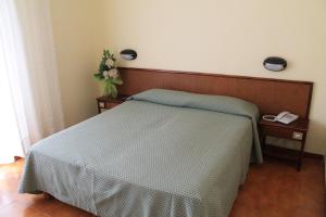 Double Room room in Hotel Minerva