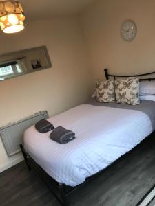 Ty Mynydd Lodge Holiday Home
